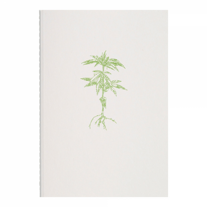 Hemp Notebook | Hundredpercent - Essential Plant